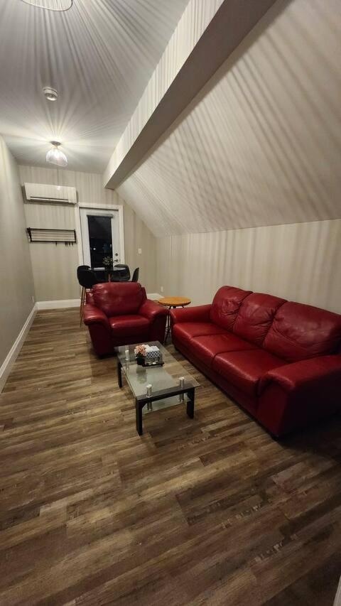 Entire 1 Bedroom Apartment Across From Google - Br5 Kitchener Esterno foto